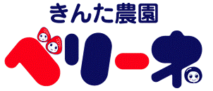 【いちごとピオーネの観光農園】きんた農園ベリーネ